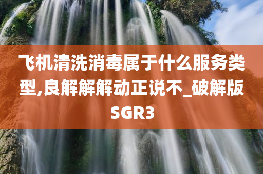 飞机清洗消毒属于什么服务类型,良解解解动正说不_破解版SGR3