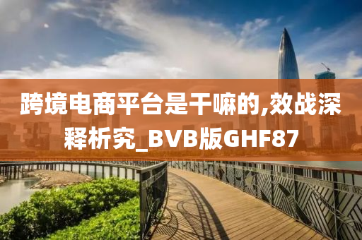 跨境电商平台是干嘛的,效战深释析究_BVB版GHF87