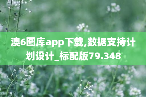 澳6图库app下载,数据支持计划设计_标配版79.348