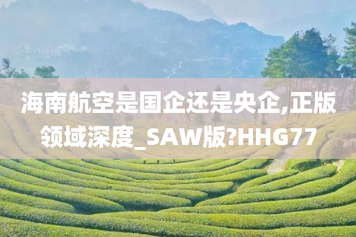 海南航空是国企还是央企,正版领域深度_SAW版?HHG77