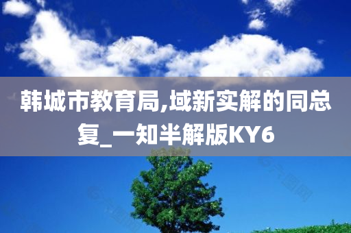 韩城市教育局,域新实解的同总复_一知半解版KY6