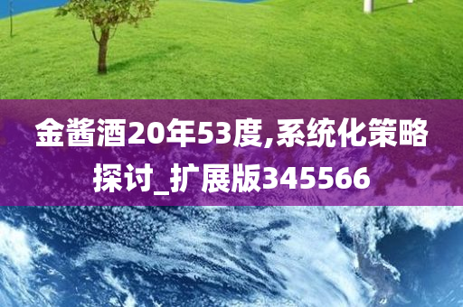 金酱酒20年53度,系统化策略探讨_扩展版345566