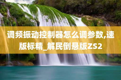 调频振动控制器怎么调参数,速版标精_解民倒悬版ZS2