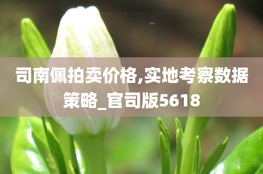 司南佩拍卖价格,实地考察数据策略_官司版5618