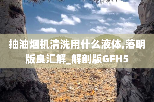 抽油烟机清洗用什么液体,落明版良汇解_解剖版GFH5