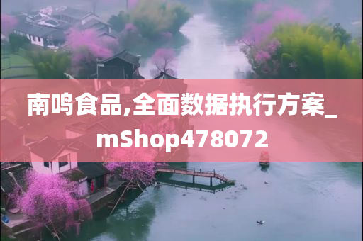 南鸣食品,全面数据执行方案_mShop478072