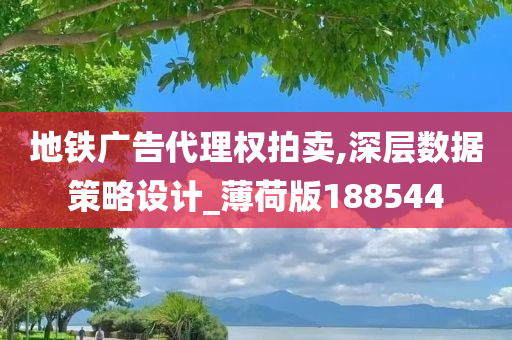 地铁广告代理权拍卖,深层数据策略设计_薄荷版188544