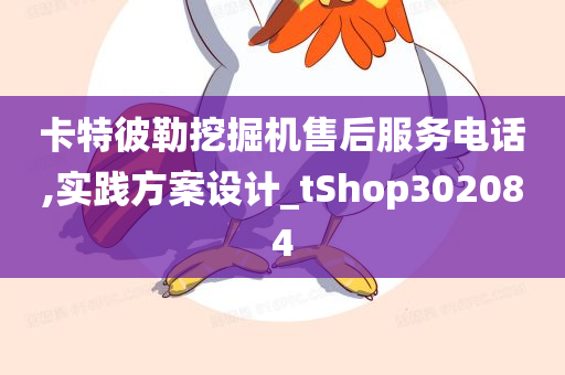 卡特彼勒挖掘机售后服务电话,实践方案设计_tShop302084