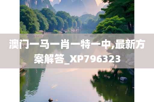 澳门一马一肖一特一中,最新方案解答_XP796323