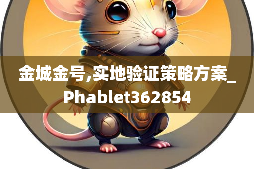 金城金号,实地验证策略方案_Phablet362854