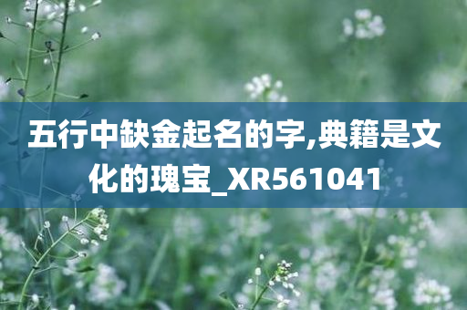 五行中缺金起名的字,典籍是文化的瑰宝_XR561041