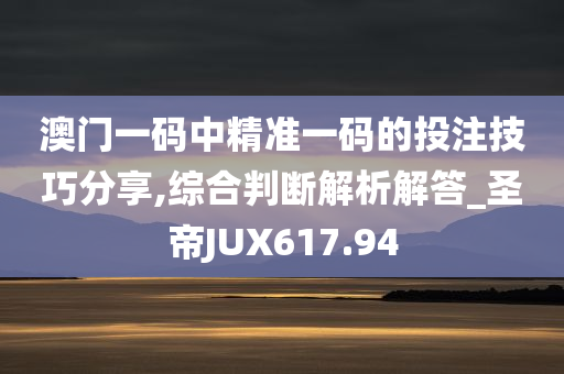 澳门一码中精准一码的投注技巧分享,综合判断解析解答_圣帝JUX617.94