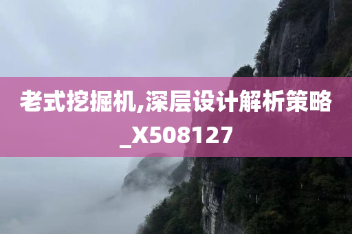 老式挖掘机,深层设计解析策略_X508127