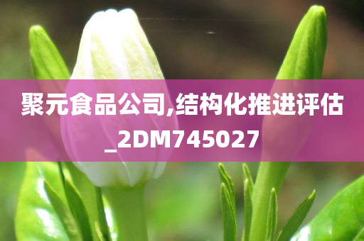 聚元食品公司,结构化推进评估_2DM745027