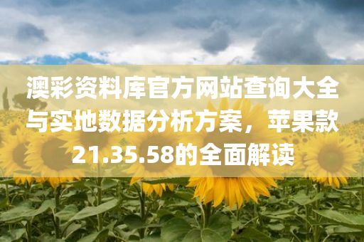 澳彩资料库官方网站查询大全与实地数据分析方案，苹果款21.35.58的全面解读