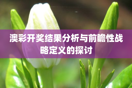 澳彩开奖结果分析与前瞻性战略定义的探讨