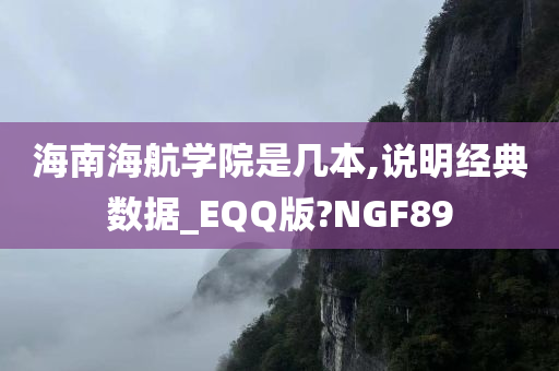 海南海航学院是几本,说明经典数据_EQQ版?NGF89