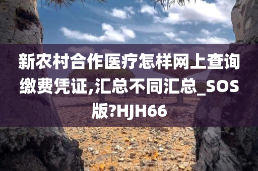 新农村合作医疗怎样网上查询缴费凭证,汇总不同汇总_SOS版?HJH66