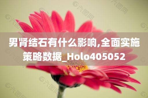 男肾结石有什么影响,全面实施策略数据_Holo405052