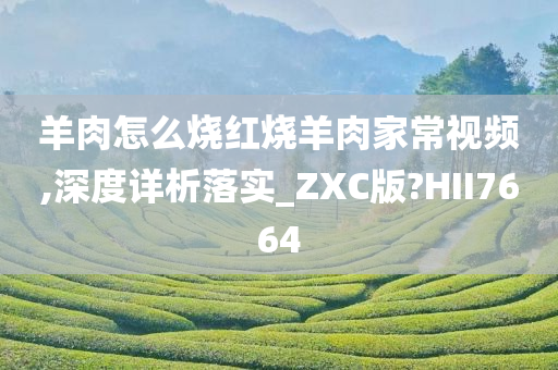 羊肉怎么烧红烧羊肉家常视频,深度详析落实_ZXC版?HII7664