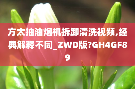 方太抽油烟机拆卸清洗视频,经典解释不同_ZWD版?GH4GF89