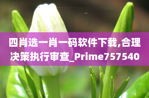 四肖选一肖一码软件下载,合理决策执行审查_Prime757540