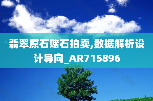 翡翠原石赌石拍卖,数据解析设计导向_AR715896