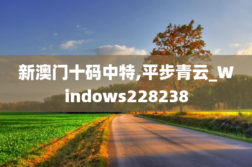 新澳门十码中特,平步青云_Windows228238