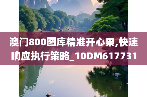 澳门800图库精准开心果,快速响应执行策略_10DM617731