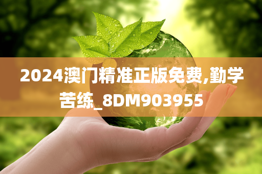 2024澳门精准正版免费,勤学苦练_8DM903955