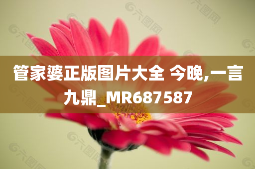 管家婆正版图片大全 今晚,一言九鼎_MR687587