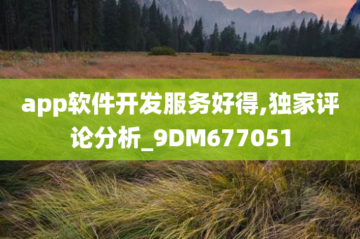 app软件开发服务好得,独家评论分析_9DM677051