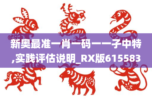 新奥最准一肖一码一一孑中特,实践评估说明_RX版615583