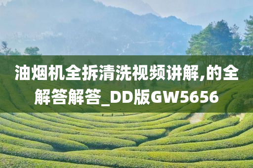 油烟机全拆清洗视频讲解,的全解答解答_DD版GW5656