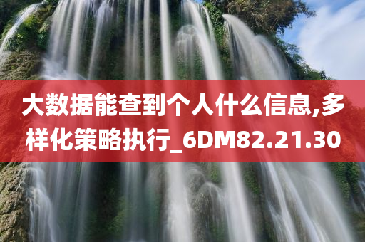 大数据能查到个人什么信息,多样化策略执行_6DM82.21.30