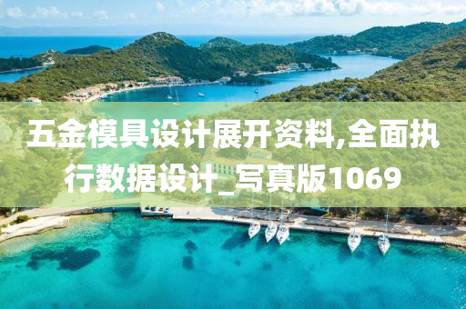 五金模具设计展开资料,全面执行数据设计_写真版1069