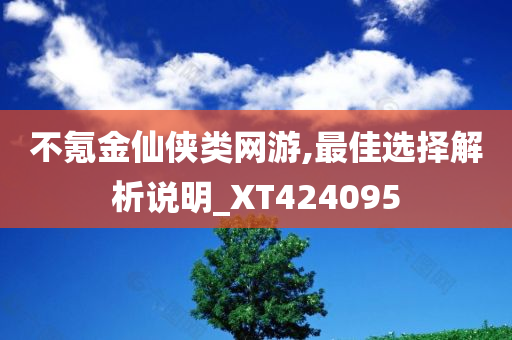 不氪金仙侠类网游,最佳选择解析说明_XT424095