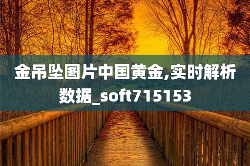 金吊坠图片中国黄金,实时解析数据_soft715153