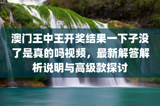 澳门王中王开奖结果一下子没了是真的吗视频，最新解答解析说明与高级款探讨