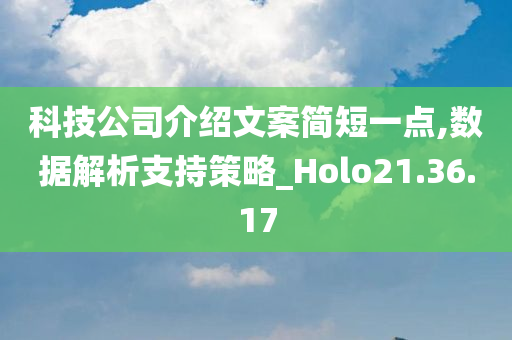 科技公司介绍文案简短一点,数据解析支持策略_Holo21.36.17