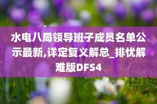 水电八局领导班子成员名单公示最新,详定复义解总_排忧解难版DFS4