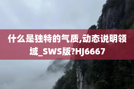 什么是独特的气质,动态说明领域_SWS版?HJ6667