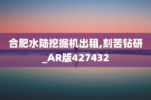 合肥水陆挖掘机出租,刻苦钻研_AR版427432