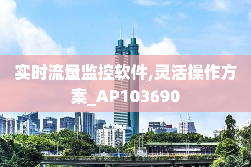 实时流量监控软件,灵活操作方案_AP103690