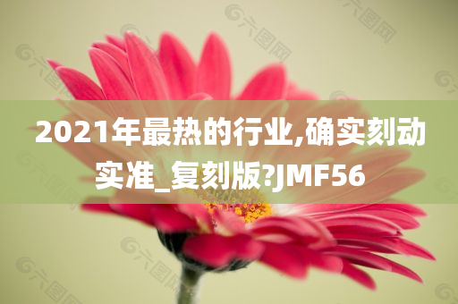 2021年最热的行业,确实刻动实准_复刻版?JMF56