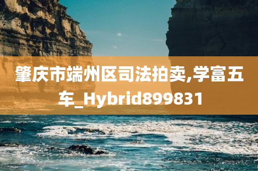 肇庆市端州区司法拍卖,学富五车_Hybrid899831