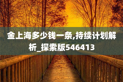 金上海多少钱一条,持续计划解析_探索版546413