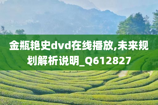 金瓶艳史dvd在线播放,未来规划解析说明_Q612827