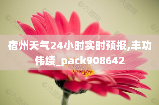 宿州天气24小时实时预报,丰功伟绩_pack908642