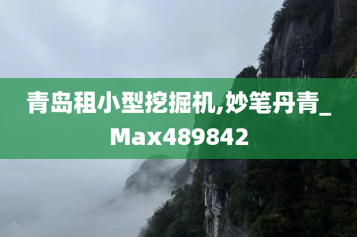 青岛租小型挖掘机,妙笔丹青_Max489842